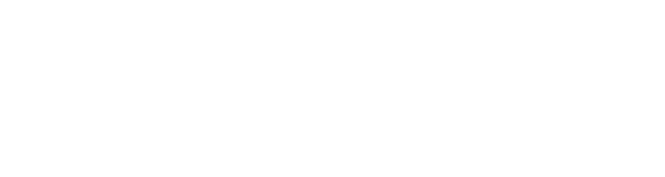 HOLLYFY logo white
