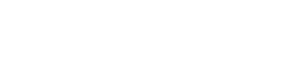 Logo white HOLLYFY logo white